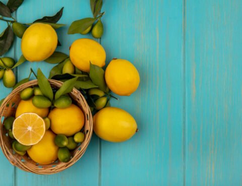 lemoni paidi