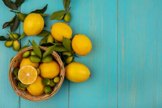 lemoni paidi